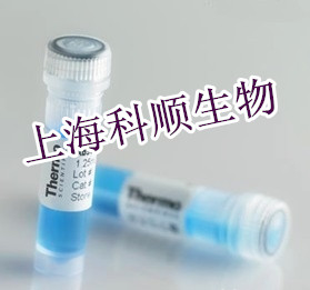 TGM7 antibody?